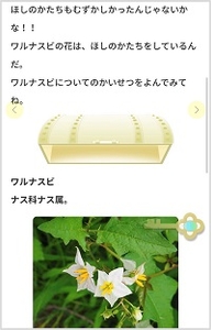 Rqy2RvylFDayI0GVd4CK.jpg?w=940&h=940