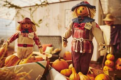 RrN72qduBvee2GMEi4yh.jpg?w=940&h=940