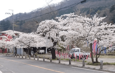 RrUq3NUmfcassLHehkNi.png?w=940&h=940