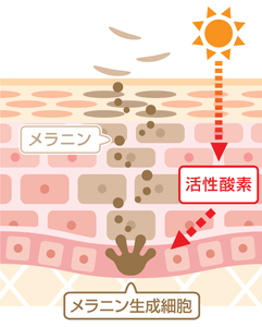 RrWeaZEA4B3TL1dIjHry.png?w=940&h=940