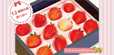 Rs6jfiSuGR8MjJgNHDaS.jpg?w=940&h=940