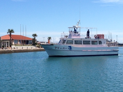 RslvYbtpusr06fg6AYpO.JPG?w=940&h=940