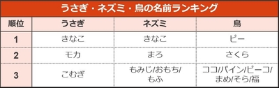 ペットの名前ランキング2019（うさぎ・ネズミ・鳥）