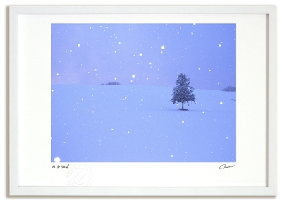 RtEEhUDep9WFYfdGqaUs.jpg?w=940&h=940