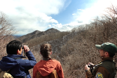 RtqTsMo4gzxfKNZ9JvaF.jpg?w=940&h=940