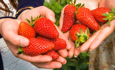 RtvnIWukW3VcsB6fDWDU.jpg?w=940&h=940