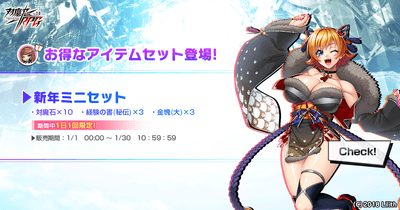 新年ミニセット