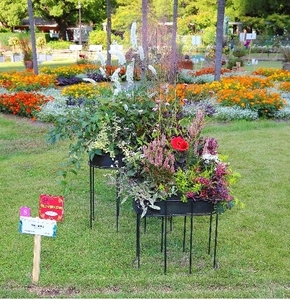 RvS1K4PeAW91McMJ9tFX.jpg?w=940&h=940