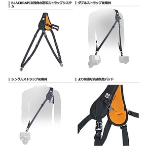 RvxGUgjOVss3WgMj3n9X.jpg?w=940&h=940