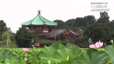 Rw4NQ7PP0xqQ7JXtH0UB.jpg?w=940&h=940