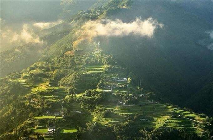 仙人の棚田2