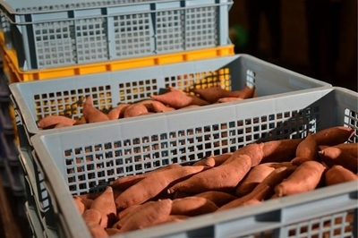 RzscfXS4jKICnN1aEjRe.jpg?w=940&h=940