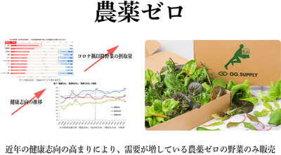 RztkHJSDmXn6ilFEK6Uw.png?w=940&h=940