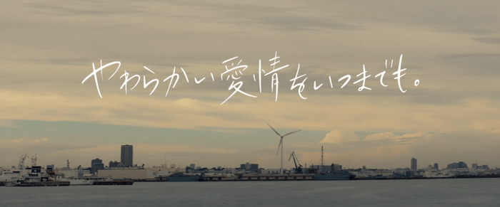 動画キャプチャ１０