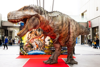 S0KHHib89IzzJd3qqIQX.jpg?w=940&h=940