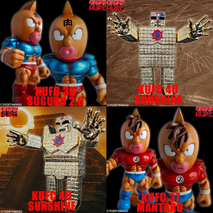 (3)ハイグレード2種 / プレミアムグレード 2種