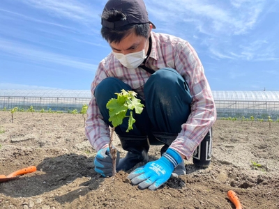 S0kzftraK6L9pqHO85uS.jpg?w=940&h=940