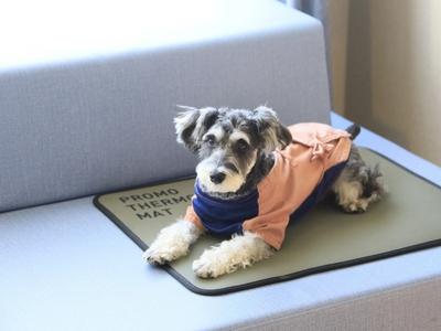 S1IH6shn3astEbf7ad9w.jpg?w=940&h=940