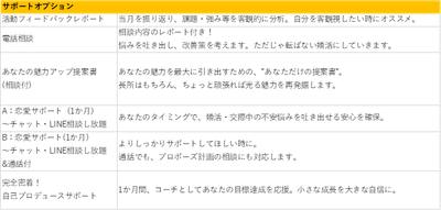 サポートオプション