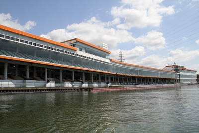 S5K9ZWUIA7na9rMowJQf.JPG?w=940&h=940