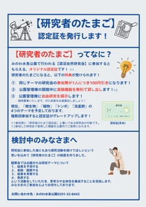 S6eB5e19s8sISb3IoQBE.jpg?w=940&h=940