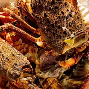 S7JnoUP2PyEB1VW7mNfX.jpg?w=940&h=940