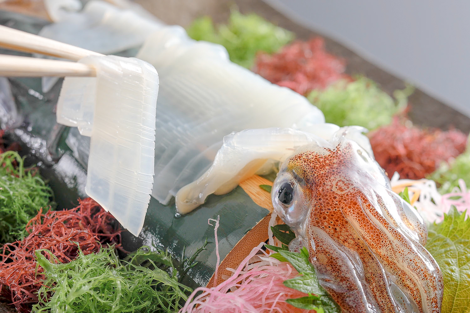 【新ブランド『京丹後イカ 漁火-ISARIBI-』を堪能できる特別コース販売開始】—海の京都・夕日ヶ浦温泉『佳松苑 別邸ふうか』『一望館 はなれ櫂』