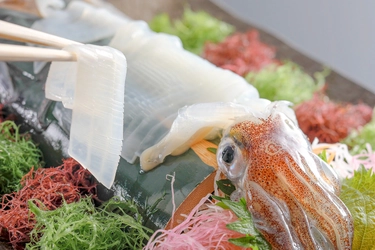 【新ブランド『京丹後イカ 漁火-ISARIBI-』を堪能できる特別コース販売開始】—海の京都・夕日ヶ浦温泉『佳松苑 別邸ふうか』『一望館 はなれ櫂』