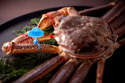 期間限定会席の活松葉蟹は700g前後の小さめサイズをお一人様一杯ご用意します