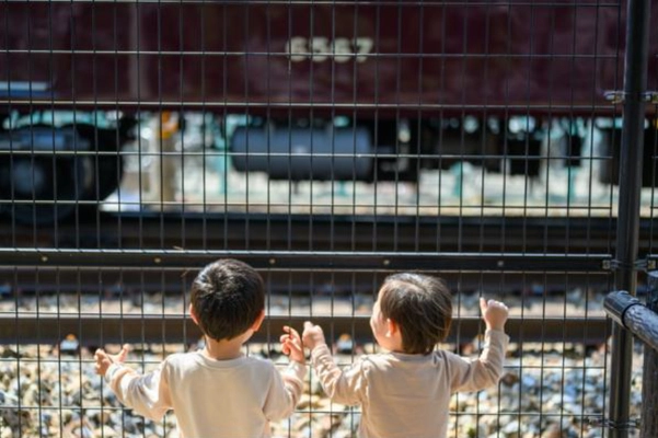 地域（まち）の魅力を再発見し発信するイベント 「第16回 阪急ええはがきコンテスト」 入賞75作品が決定しました！