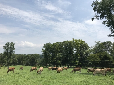 SAudGkUcLlvVYD1ol9qd.jpg?w=940&h=940