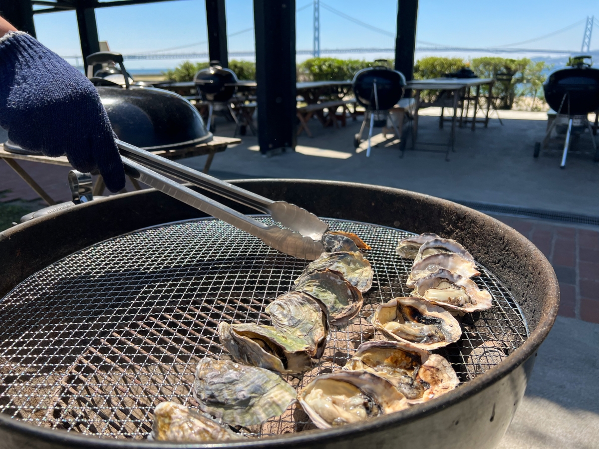 【BBQ&Co】兵庫・明石発!「明石牡蠣」の特別販売イベント、5月18日・19日に明石市大蔵海岸のBBQ場「ZAZAZA」で開催!バーベキューアンドコーが地元牡蠣養殖会社と協力!