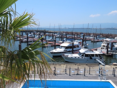 SBX7VF1hdcdGO6TfTofE.jpg?w=940&h=940