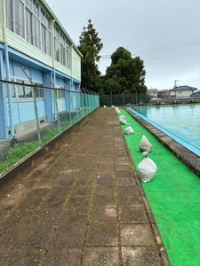 除草後のプールサイド