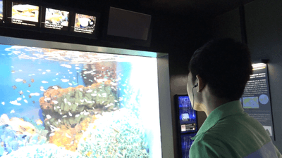 SC7VWfbA3ZthuYqviTx9.png?w=940&h=940