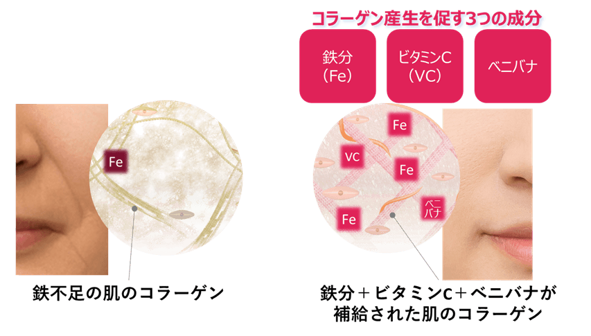 コラーゲンを産生する肌細胞を増やす 鉄分+ビタミンC+ベニバナの組み合わせ効果を発見!