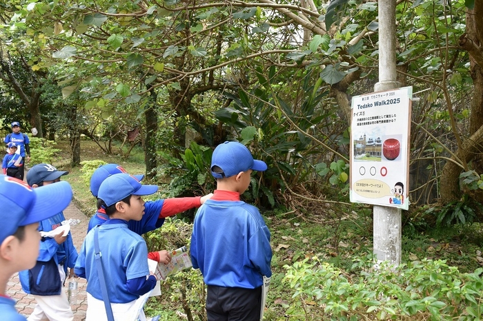 ウォーキング風景