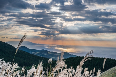 SEAfXxaqxnPFdumZUxoq.jpg?w=940&h=940