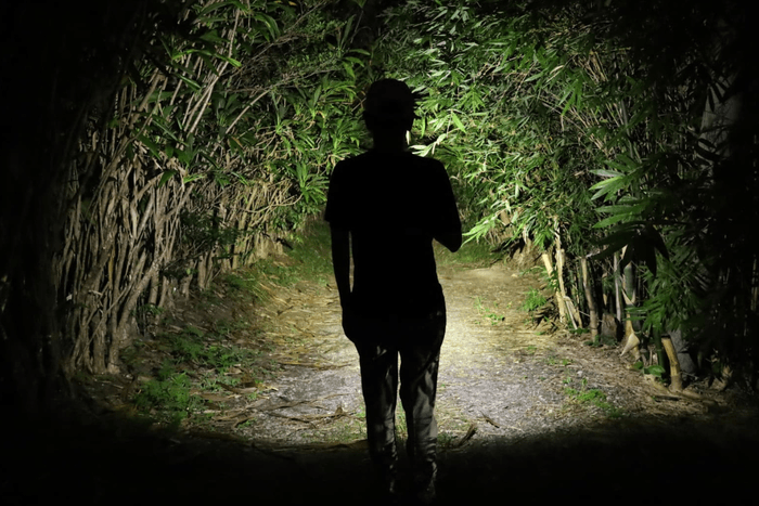 ミニサイズでトップクラスの明るさ