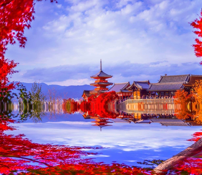 「JAPAN SHOT 439」2023-11-28 14:38:11 京都・清水寺 333mm×287mm ゴールドプリント