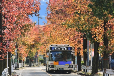 SFWYJFohKmZALQRpYjVn.jpg?w=940&h=940