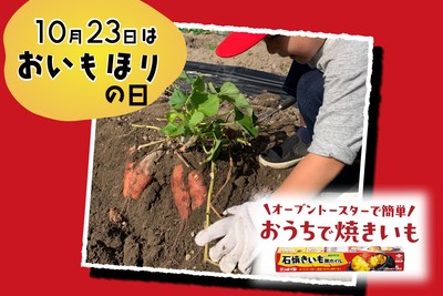 SGLP8E609QfD44nbcJjI.jpg?w=940&h=940