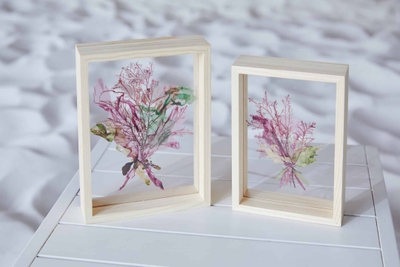 SIxDyJevxoztjGiHm0c8.jpg?w=940&h=940