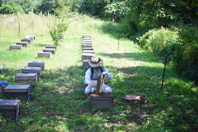 SJOBIxOLzVIzC3s4uT3I.jpg?w=940&h=940