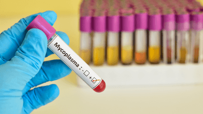 SL18M7Mb0mFyoUozA1es.png?w=940&h=940