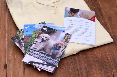 SL7TzuQb5HTLW2iVts1k.jpg?w=940&h=940