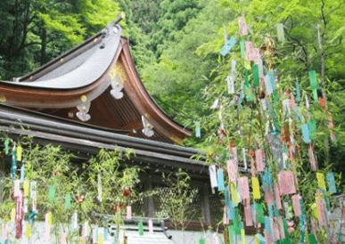 SLFG40E11mvTAHQmg4mV.png?w=940&h=940