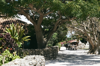 SMHYKB2sFCsaOufgh1eD.jpg?w=940&h=940