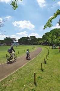 小金井公園　サイクリングコース　※画像はイメージです