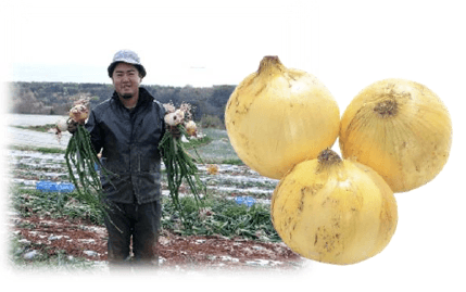 長崎県産 新玉ねぎ